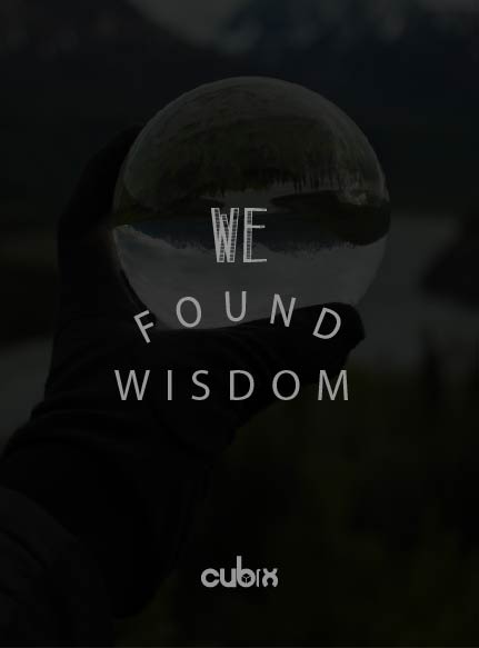 CUBIX Quotes